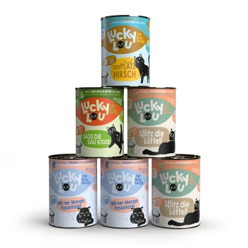 Ein Stapel von sechs bunten "Lucky Lu" Dosen Katzenfutter in verschiedenen Geschmacksrichtungen, mit verspielten Katzen-Grafiken und deutschem Text.
