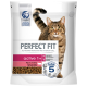 Un sac de nourriture pour chats Perfect Fit avec un chat tigré sur le devant, étiqueté 'actif 1+' et 'Riche en bœuf', avec des icônes pour les bienfaits pour la santé.