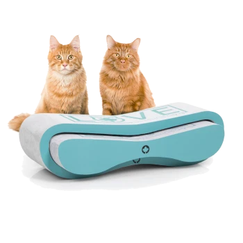 Zwei flauschige orange Katzen sitzen neben einem blauen Haustierbett mit dem Wort "LOVE" darauf gedruckt.