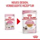 Vergleich der Verpackung von Royal Canin Kittenfutter, mit neuem Design und verbesserter Rezeptur, geeignet für Kätzchen bis zu 12 Monaten.