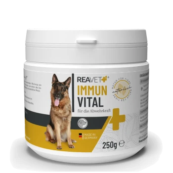 Behälter von REAVET IMMUN VITAL für Hunde, der die Immunstärke fördert, mit einem Deutschen Schäferhund auf dem Etikett, 250g, hergestellt in Deutschland.