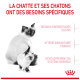 Image d'une mère chat et de son chaton avec un texte sur leurs besoins spécifiques : haute énergie, système immunitaire fragile et développement du système nerveux.