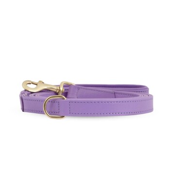 Hundeleine Plain Lavander XXS-XS