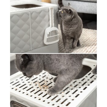 Eine graue Katze nähert sich neugierig einer modernen Katzentoilette mit einer weißen Schaufel, während eine andere graue Katze die Katzentoilette benutzt.