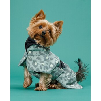 Ein stilvoller Yorkshire Terrier trägt einen grauen Leoparden-Mantel, posiert vor einem türkisfarbenen Hintergrund und zeigt sein flauschiges Fell und seinen verspielten Ausdruck.