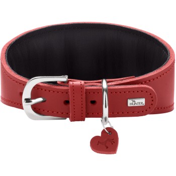 Rotes Lederhalsband für Hunde mit schwarzer Beschichtung, silberner Schnalle und D-Ring, herzförmigem Anhänger und kleiner Metallplakette mit der Aufschrift 'HUNTER'.