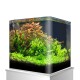 Ein lebendiges Aquarium, gefüllt mit üppigen grünen Pflanzen und rötlichem Laub, das eine natürliche Unterwasserlandschaft zeigt.