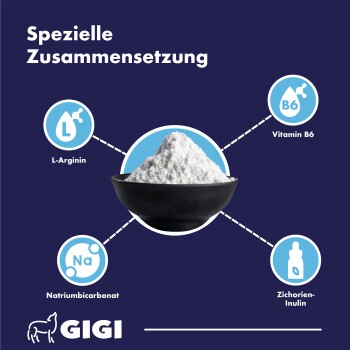 Hand, die die Pfote eines Hundes hält, mit Aufschriften: Ohne Konservierungsstoffe; Ohne künstliche Zusatzstoffe; Ohne Getreide; GIGI-Logo.