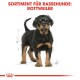 Illustration eines Rottweiler-Welpen, der selbstbewusst steht, mit dem Text 'SORTIMENT FÜR RASSEHUNDE: ROTTWEILER' darüber.