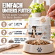 Ein schwarz-weißer Hund, der durch ein Feld mit lila Blumen läuft, umgeben von Grün, und eine verspielte und glückliche Ausstrahlung hat.