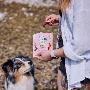VEGDOG Belohnungssnack BEEVYS 9 x 80 g