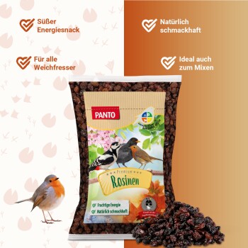 Ein Haufen dunkler, getrockneter Cranberries auf einem weißen Hintergrund, der ihre faltige Textur und reiche Farbe zeigt.