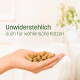 Graue Katze mit Kopf in Snackdose „Kaninchen Essential“; linkes Panel zeigt Überschrift „Funktional snacken“ und aufgelistete Vorteils-Punkte