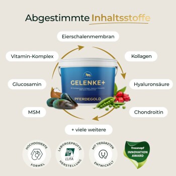"Pferdegold" Eimer mit Pellets: unterstützt die Mobilität, bekämpft Nährstoffmängel, 100% natürlich, geliebt von 50.000 Pferden.