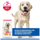 Gelber Labrador mit rotem Halsband neben einer Hill's-Tüte; ActivBiome+-Abzeichen und blauer deutscher Banner: gesundes Gewicht