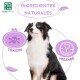 Ein schwarz-weißer Hund sitzt stolz, umgeben von Texten, die 'Ingredientes Naturales', 'Sin Tóxicos' und 'Vegan Friendly' hervorheben.