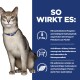 Eine graue Katze mit grünen Augen und einem blauen Halsband sitzt vor einem blauen Hintergrund mit Text über Haustiernahrung und Gesundheitsvorteile.