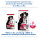 Hill's Science Plan Hundefutterbeutel für ausgewachsene Hunde (alt & neu) mit lächelndem Hund; Text 'Verbesserte Rezeptur – gleicher Geschmack'.