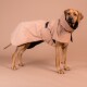 Großer Hund trägt einen beigen wasserdichten Mantel mit schwarzen Schnallenriemen und steht vor einem passenden beigen Hintergrund.
