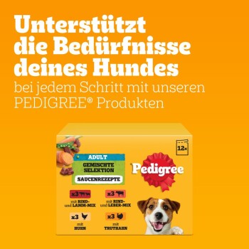 Pedigree Nassfutter Hund Adult, Multipack, Gemischte-Selektion mit Gemüse, in Sauce 12x100 g