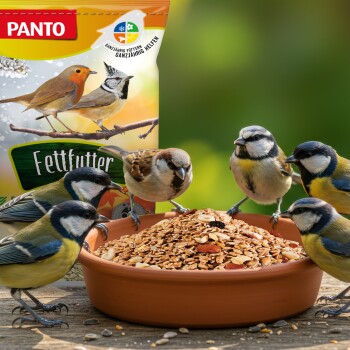 Vogelfutter „PANTO Fettfutter“ Beutel mit sechs kleinen Vögeln, die von einer Schale mit gemischten Samen auf einer Holzoberfläche fressen.