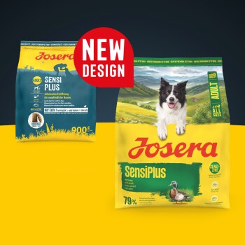 Josera SensiPlus Hundefutterbeutel für erwachsene Hunde mit Entengeschmack, neues Design, mit glücklichem Hund und Entenillustration.