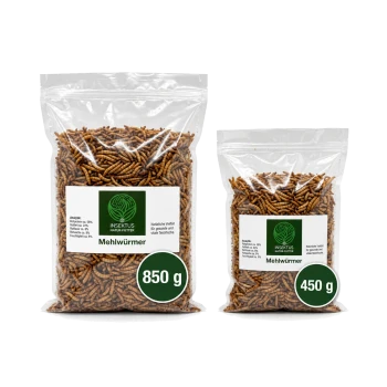 Ein klares Glas, gefüllt mit Mehlwürmern, beschriftet mit "INSEKTUS NATUR-FUTTER Mehlwürmer," das das Produkt für die Haustierfütterung zeigt.