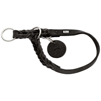 Schwarzes geflochtenes Lederhalsband für Hunde mit Metallringen und einem runden Anhänger mit einer Hundesilhouette.