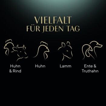 Bild zeigt stilisierte Tiersilhouetten mit dem Text 'Vielfalt für jeden Tag', der Optionen wie Huhn, Rind, Lamm, Ente und Truthahn präsentiert.