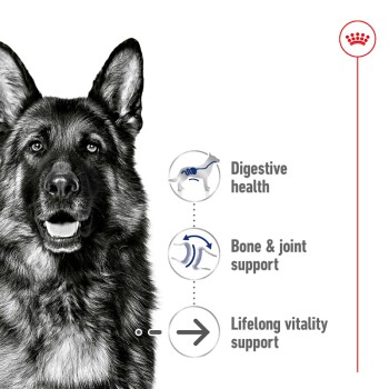 A close-up of a German Shepherd's face with text highlighting benefits: "Digestive health," "Bone & joint support," and "Lifelong vitality support."
