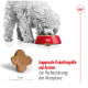 Ein flauschiger grauer Hund frisst aus einer roten Schüssel mit Trockenfutter, mit einem knochenförmigen Leckerli in der Nähe. Text: "Angepasste Krokettengröße und Aromen."
