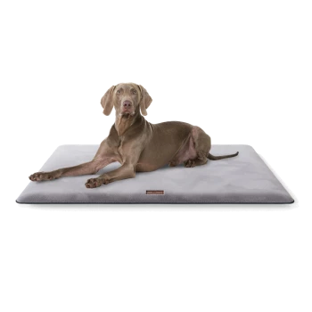 Ein entspannter grauer Weimaraner-Hund liegt auf einem plüschigen grauen Haustierbett und zeigt sein glattes Fell und seinen aufmerksamen Ausdruck.