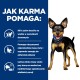 Szczęśliwy pies stoi na niebieskim tle z tekstem szczegółowo opisującym korzyści płynące z karmy dla psów, w tym statystyki dotyczące utraty wagi i utrzymania energii.
