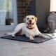 Ein gelber Labrador Retriever liegt auf einer schwarzen Tiermatte im Freien, mit einer Ziegelmauer und einem dekorativen Pflanzer im Hintergrund.