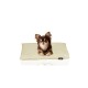 ® weiches Hundebett mit waschbarem Bezug aus Cord M