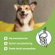 Ein Hund sitzt auf einem gelben Kissen mit Text auf grünem Hintergrund: "Harmoniserend," "Sofort verzehrfertig," und "Paste leicht anwendbar."