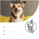 Ein Hund sitzt auf einem gelben Kissen mit Text auf grünem Hintergrund: "Harmoniserend," "Sofort verzehrfertig," und "Paste leicht anwendbar."