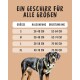 Hundegeschirr Bella - Gepolstertes Brustgeschirr