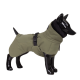 Ein schwarzer Mannequin-Hund trägt einen grünen wasserdichten Mantel mit hohem Kragen und verstellbarem Schnallenverschluss, der ein stilvolles Haustierbekleidungsdesign präsentiert.
