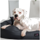 Ein weißer Hund mit schwarzen Flecken liegt auf einem dunkelgrauen Haustierbett und schaut direkt in die Kamera. Das Bett hat ein Etikett mit dem Markennamen "tierlando."