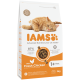 IAMS-Katzenfutterbeutel mit Abbildung einer orangefarbenen Katze, 'Mit frischem Huhn', '87 % tierisches Protein', 'ab 1 Jahr', 3 kg.