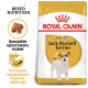 Torba z karmą dla psów Royal Canin Adult Jack Russell Terrier z obrazem Jack Russella, podkreślająca odżywianie rasy i wsparcie mięśni.