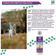 Insektenabwehrshampoo für Katzen, mit natürlichen Inhaltsstoffen wie Margosa, Geraniol und Lavandino, wirksam gegen Parasiten.