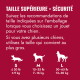 Tableau des tailles en français — TAILLE SUPÉRIEURE = SÉCURITÉ ; silhouettes de chiens ; S ≤20 lb/≤9 kg, M 15–35 lb/7–16 kg, L 30–65 lb/13–30 kg.