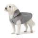 Ein grauer Französischer Bulldogge, die eine stylische Daunenjacke mit Kapuze trägt und nach oben schaut, vor einem weißen Hintergrund.