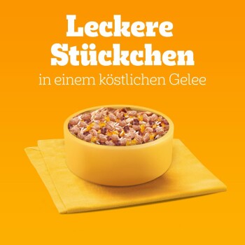 Schüssel mit Haustierfutter mit Stücken in Gelee, auf einer gelben Serviette, mit dem Text "Leckere Stückchen in einem köstlichen Gelee" darüber.