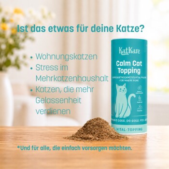 Türkisfarbene KatKare-Dose mit der Aufschrift 'Calm Cat Topping' und einem Haufen Pulver auf dem Tisch; deutscher Text: 'Ist das etwas für deine Katze?'