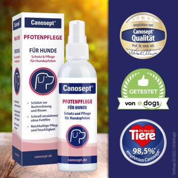 Canosept Pfotenpflege-Spray für Hunde in einer weißen Flasche mit blauer Etikett, das Pfotenschutz und Pflege fördert.