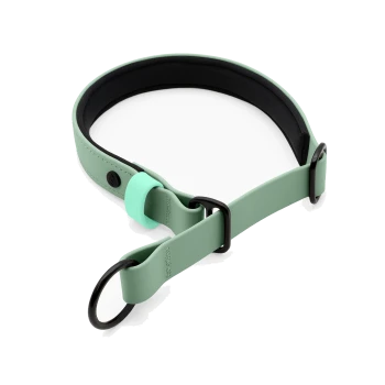 Ein mintgrüner Haustierhalsband mit schwarzen Akzenten und verstellbaren Funktionen, entworfen für Komfort und Stil.