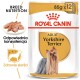 Opakowanie karmy dla psów Royal Canin Adult Yorkshire Terrier, prezentujące Yorkshire Terriera i podkreślające żywienie rasy oraz zdrowie sierści.